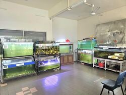 Blk 418 Teck Ghee Heartlands (Ang Mo Kio), HDB 3 Rooms #585952791